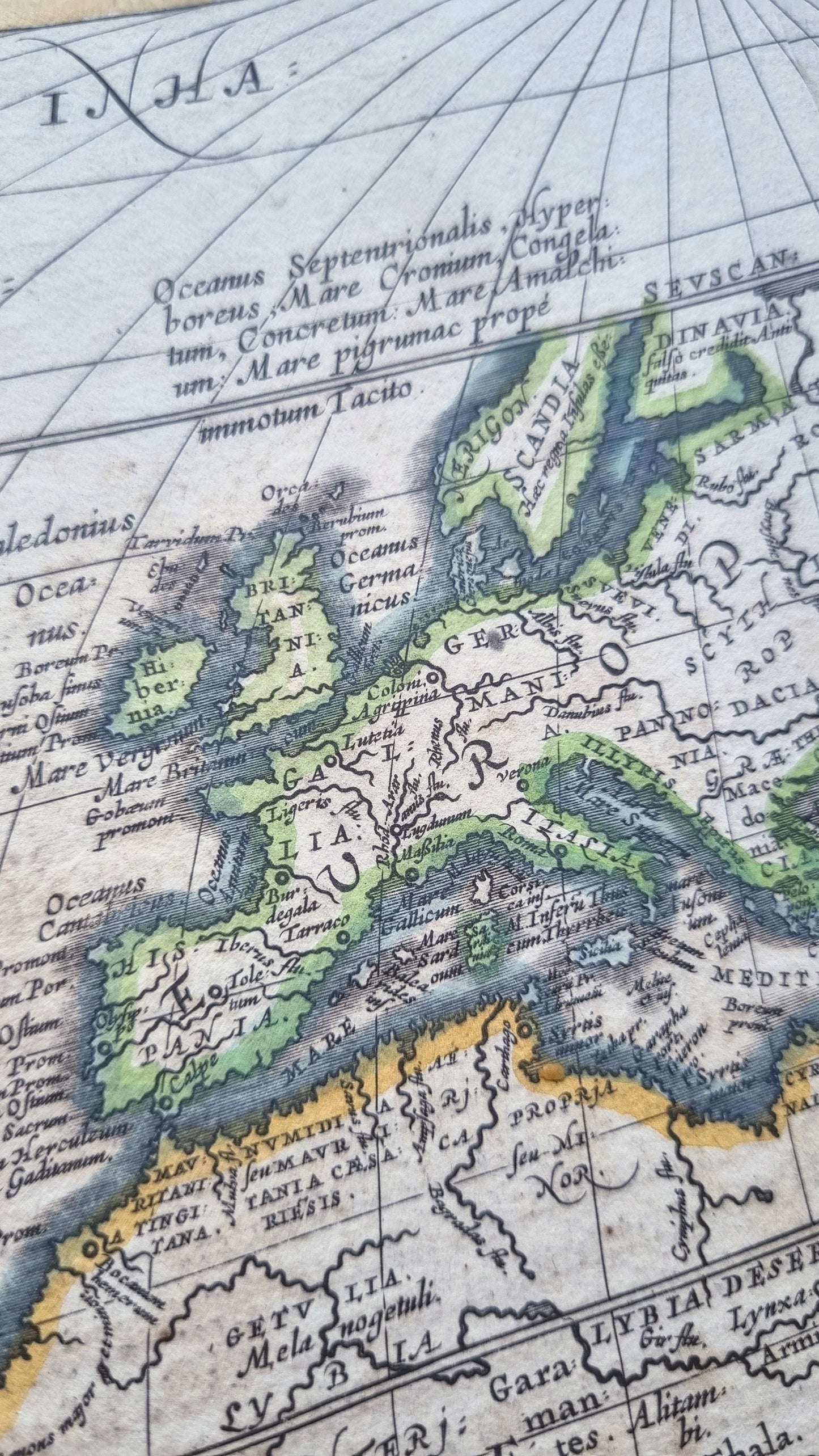 1650 Orbis Terrarum